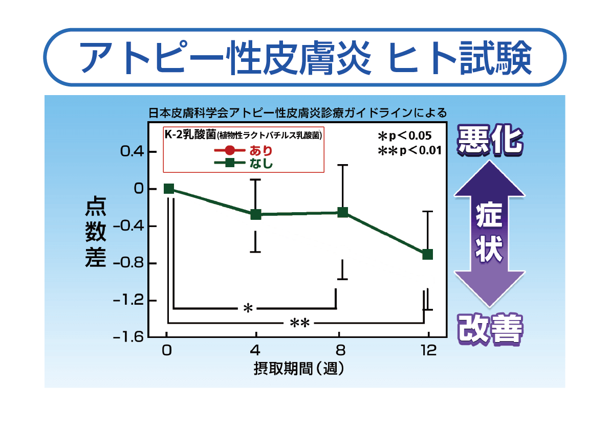 アトピー性皮膚炎　ヒト試験結果