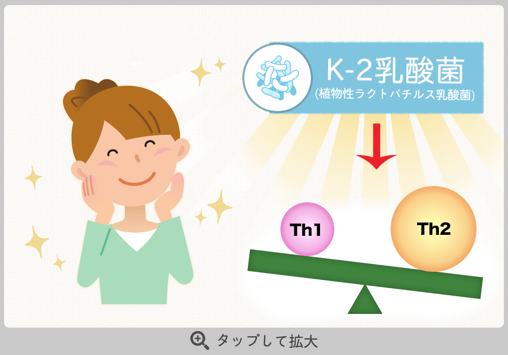 K-2乳酸菌(植物性ラクトバチルス乳酸菌)がアレルギーを抑制する！