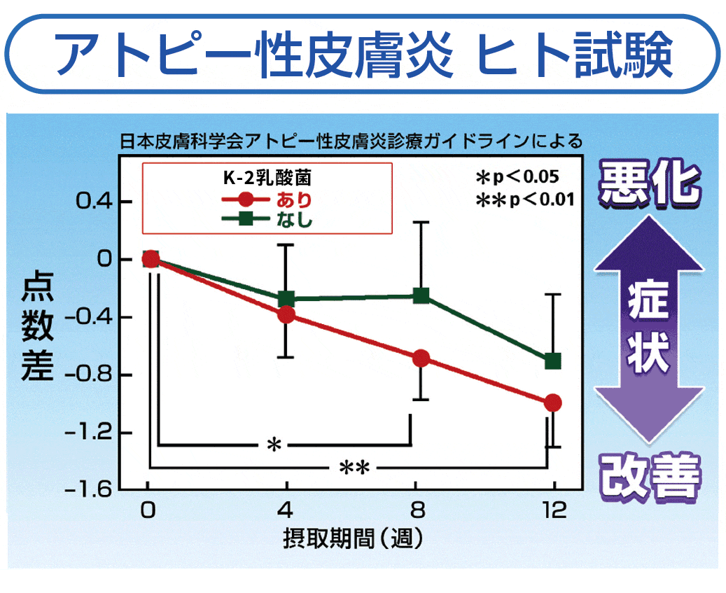 アトピー性皮膚炎 ヒト試験　医師による評価