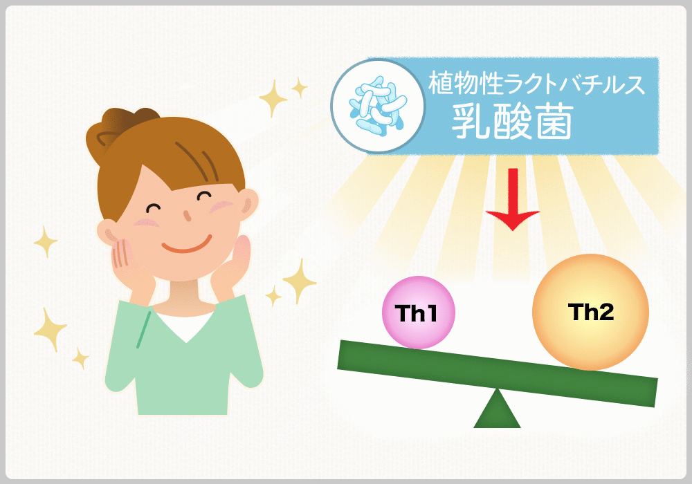 乳酸菌によるアレルギー症状の軽減